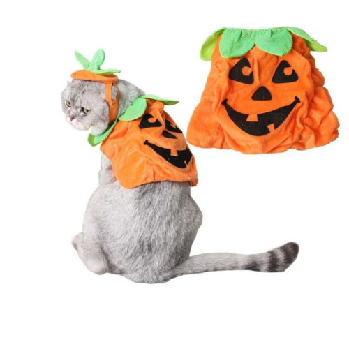 Carenlin™ - Halloween Pet Cats