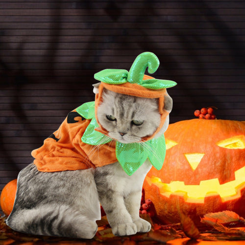 Carenlin™ - Halloween Pet Cats