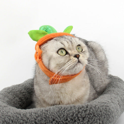 Carenlin™ - Halloween Pet Cats
