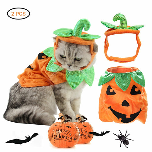 Carenlin™ - Halloween Pet Cats