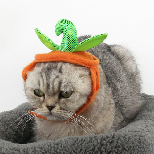 Carenlin™ - Halloween Pet Cats