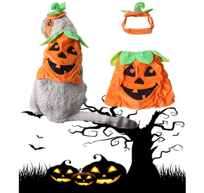 Carenlin™ - Halloween Pet Cats