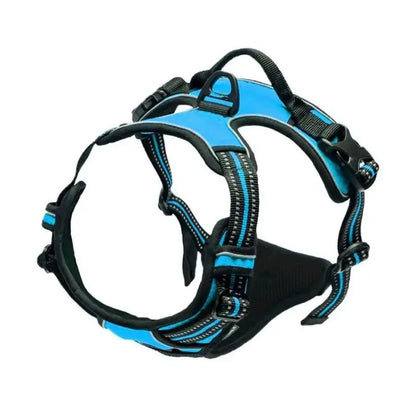 Carenlin™ - Dog Collars Harness Big Vests Leash