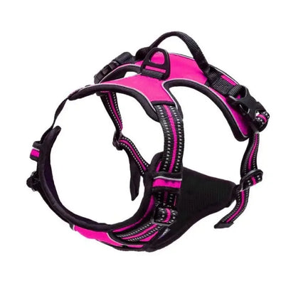Carenlin™ - Dog Collars Harness Big Vests Leash