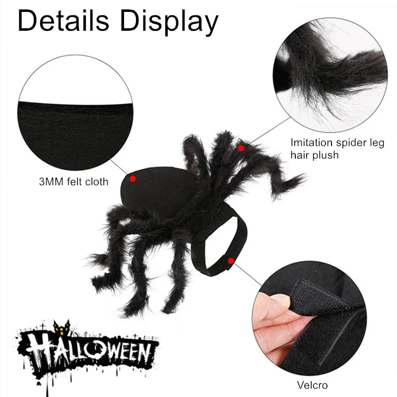 Carenlin™ - Halloween Pet Spider Costume