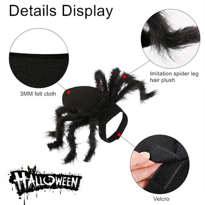 Carenlin™ - Halloween Pet Spider Costume