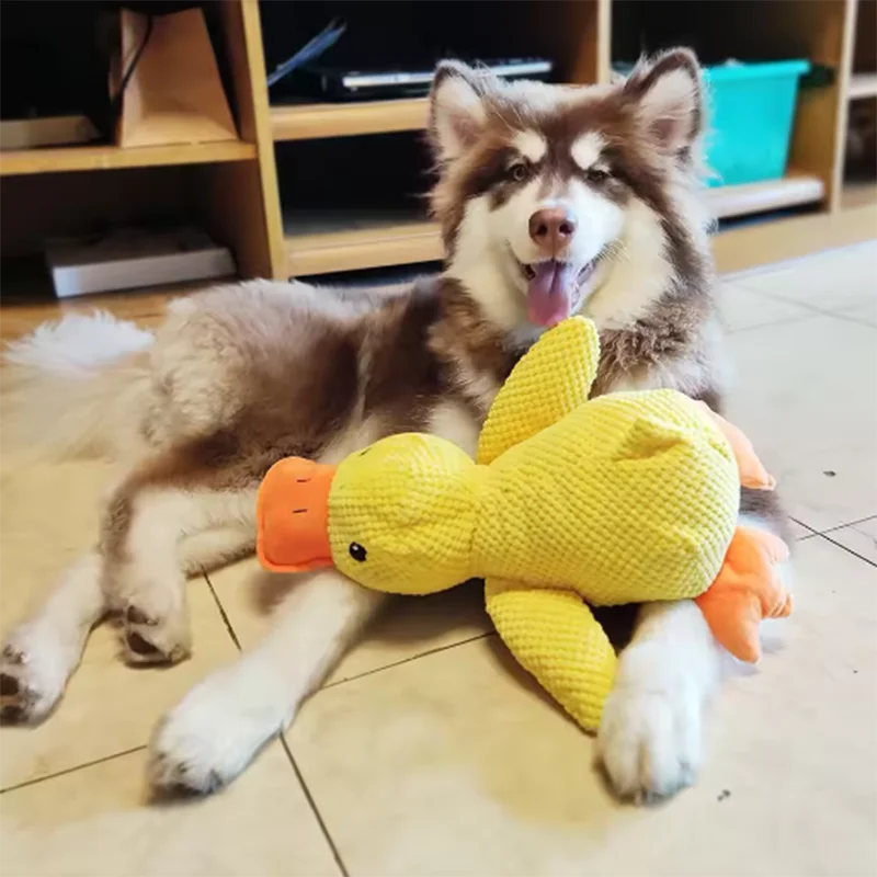 Carenlin™ - Dog sleeping with a dog hug duck toys