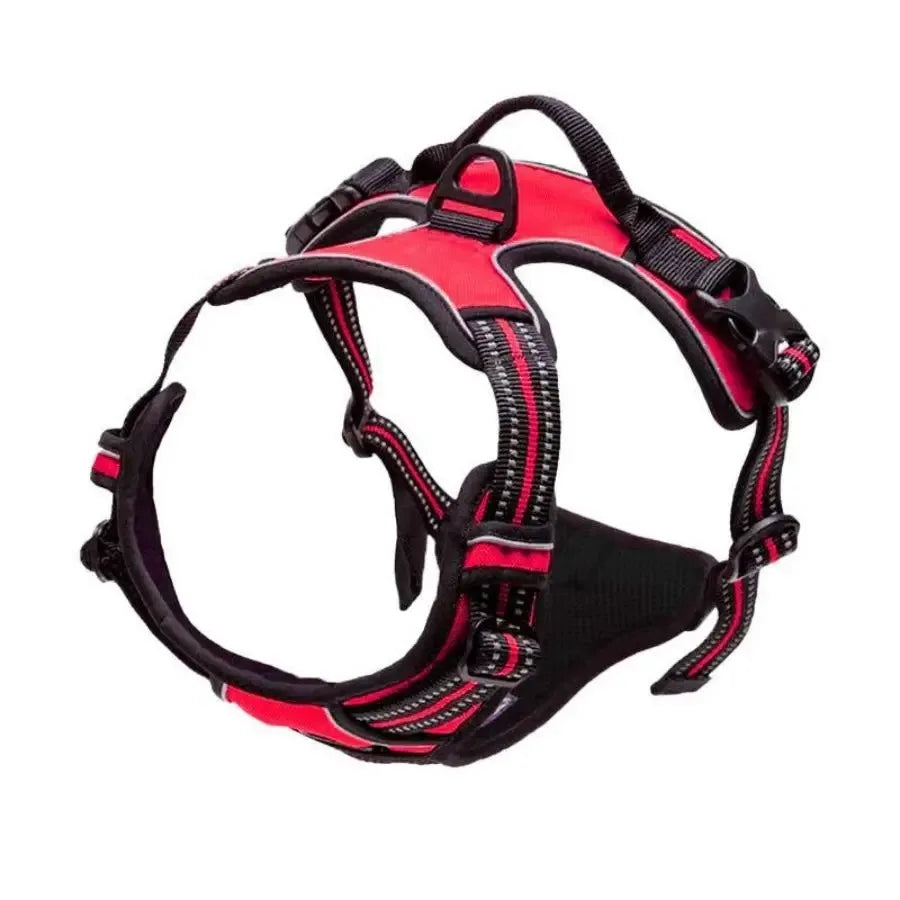 Carenlin™ - Dog Collars Harness Big Vests Leash
