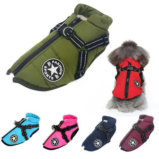 Carenlin™ - Pet Dog Jacket