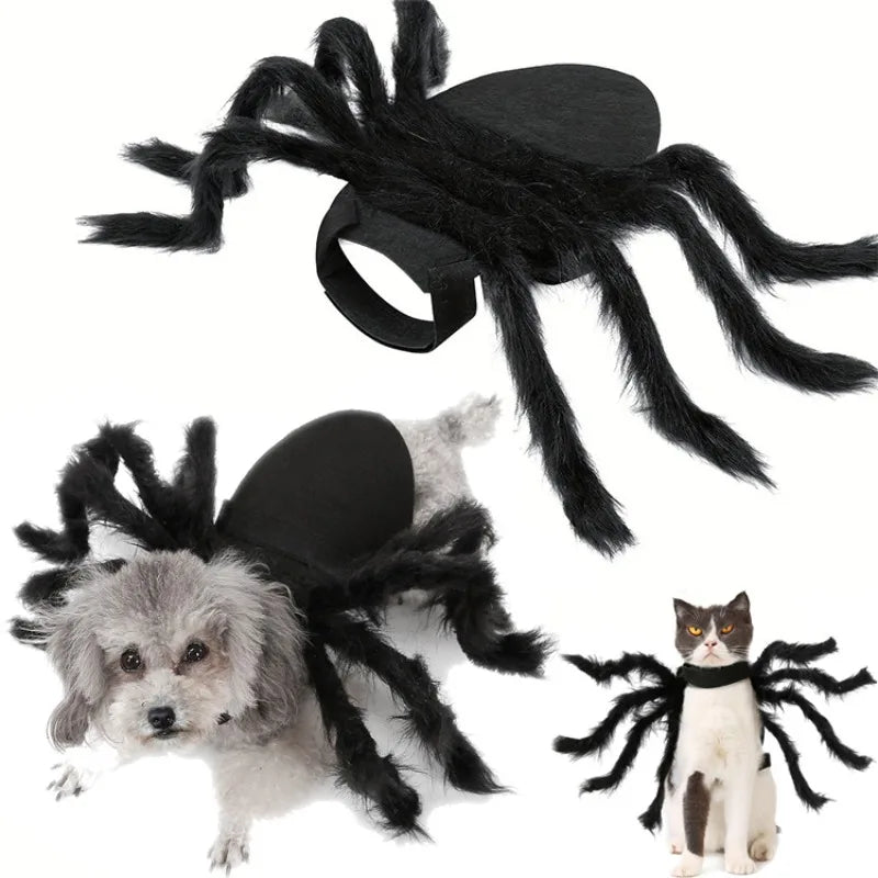 Carenlin™ - Halloween Pet Spider Costume