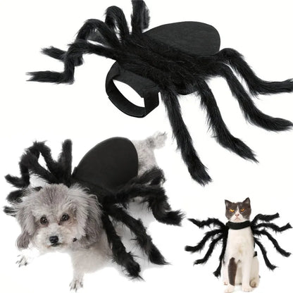 Carenlin™ - Halloween Pet Spider Costume