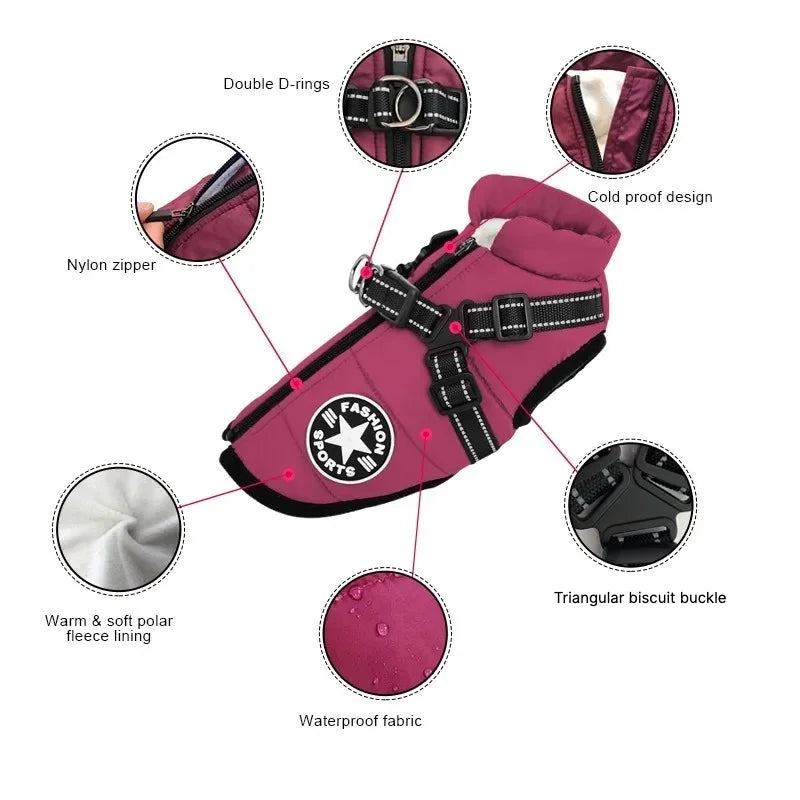 Carenlin™ - Pet Dog Jacket