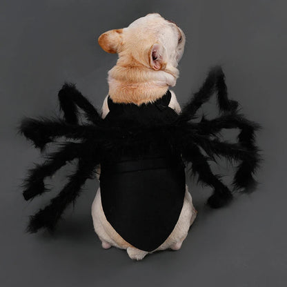 Carenlin™ - Halloween Pet Spider Costume