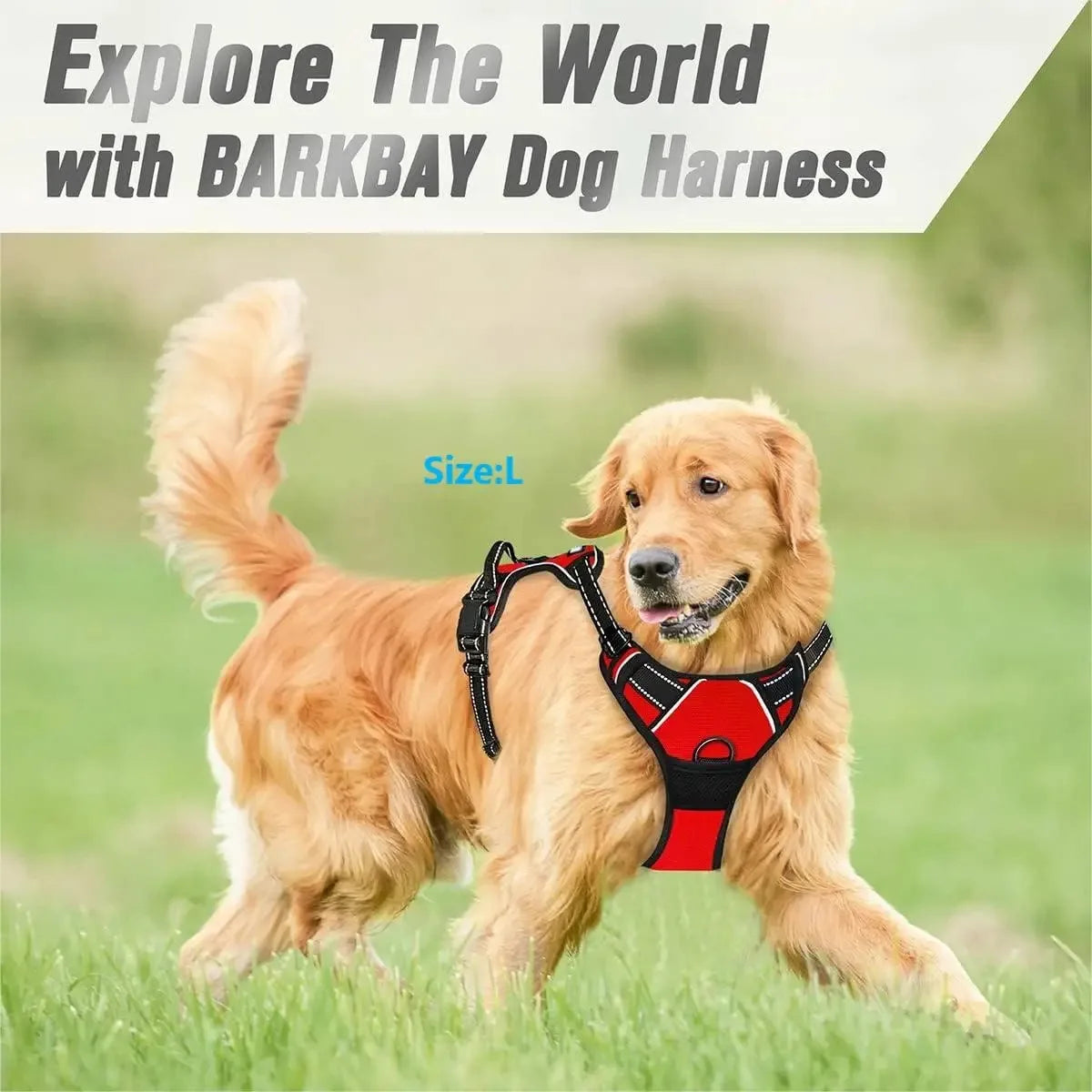 Carenlin™ - Dog Collars Harness Big Vests Leash