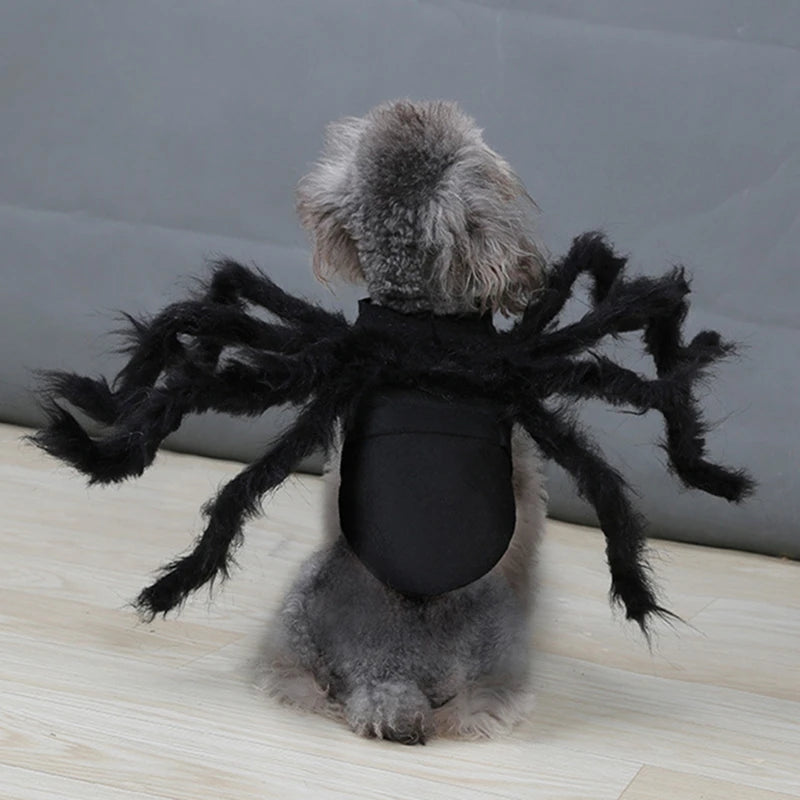 Carenlin™ - Halloween Pet Spider Costume