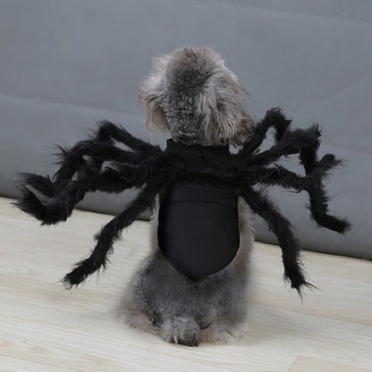 Carenlin™ - Halloween Pet Spider Costume