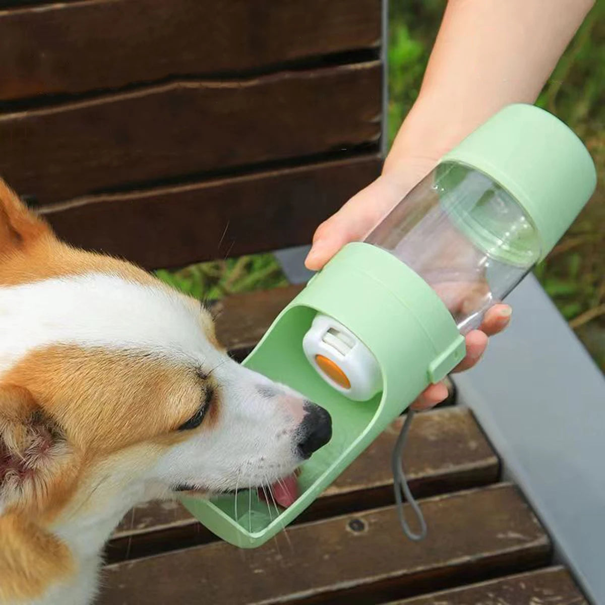 Carenlin™ - Dog Cat Water Bottle