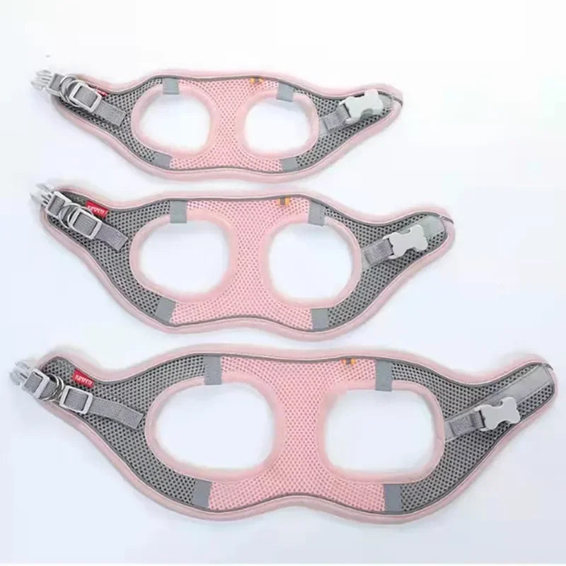 Carenlin™ - Cat Dog Harness Vest Chest Rope