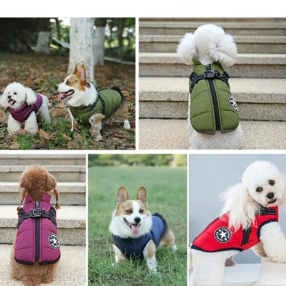 Carenlin™ - Pet Dog Jacket
