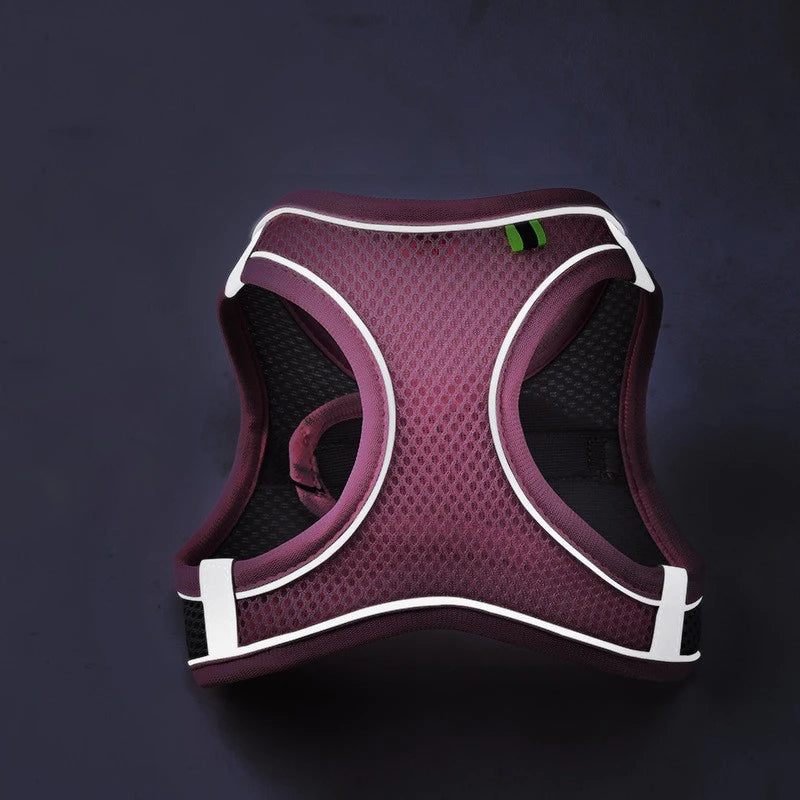 Carenlin™ - Cat Dog Harness Vest Chest Rope