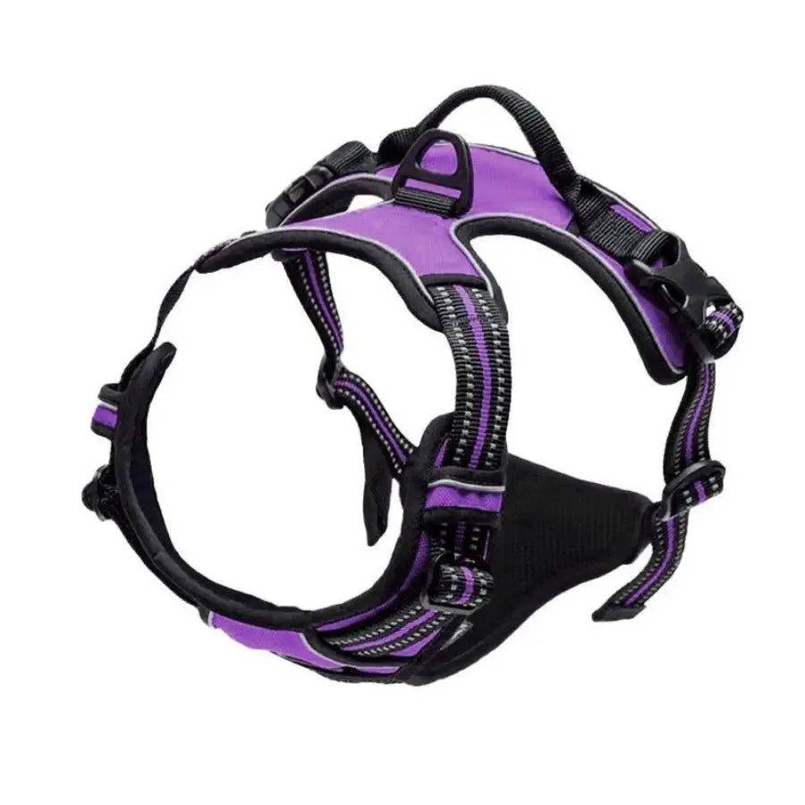 Carenlin™ - Dog Collars Harness Big Vests Leash