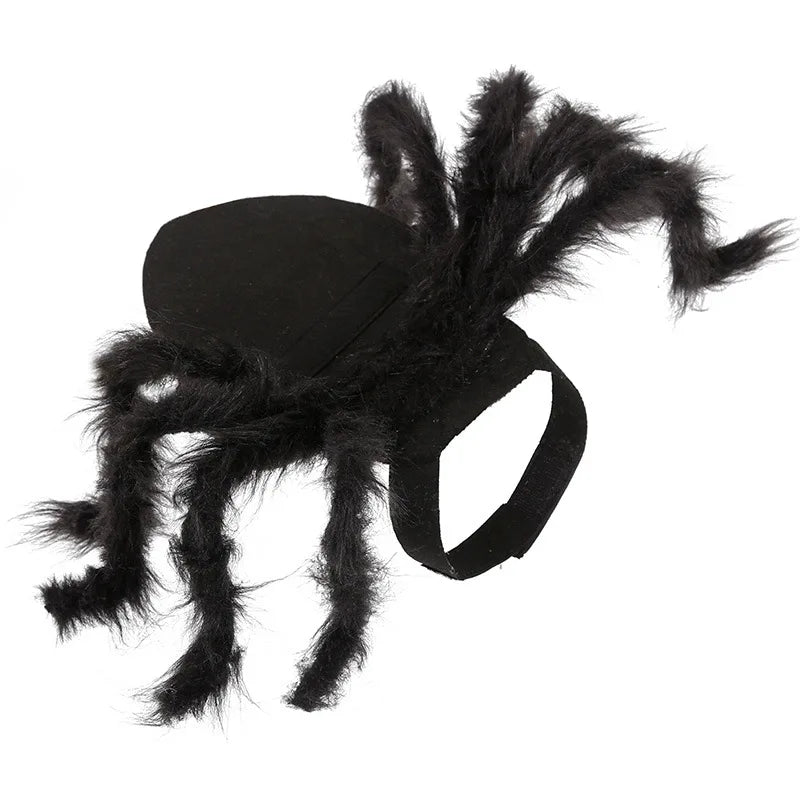 Carenlin™ - Halloween Pet Spider Costume