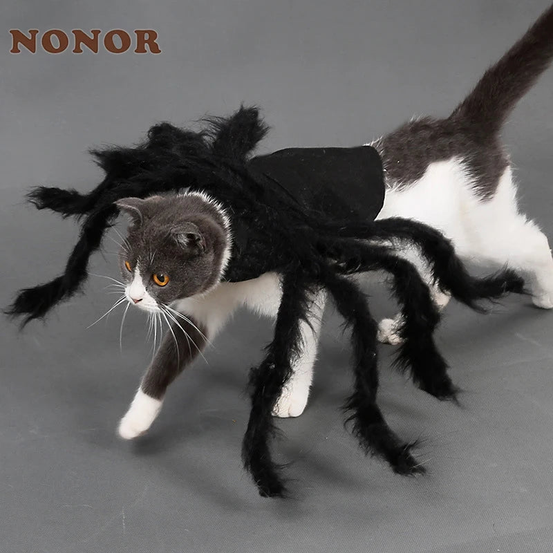 Carenlin™ - Halloween Pet Spider Costume