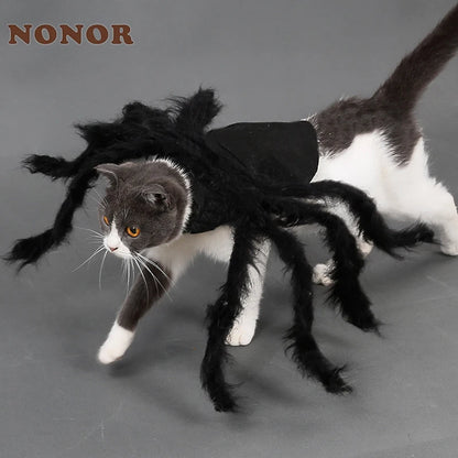 Carenlin™ - Halloween Pet Spider Costume