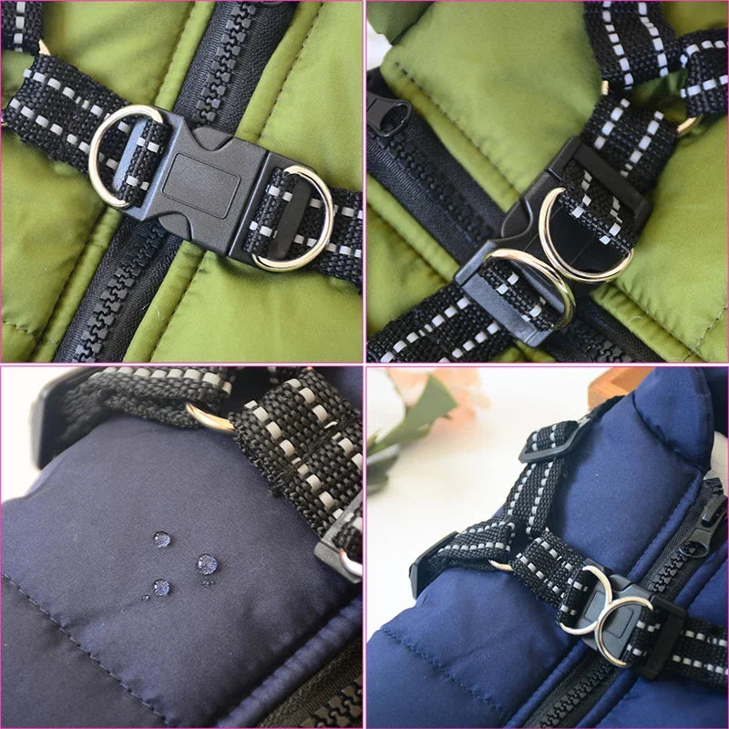 Carenlin™ - Pet Dog Jacket