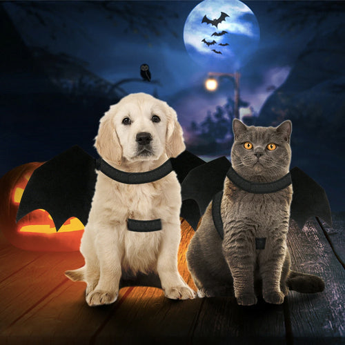 Carenlin™ - Halloween Pet Bat