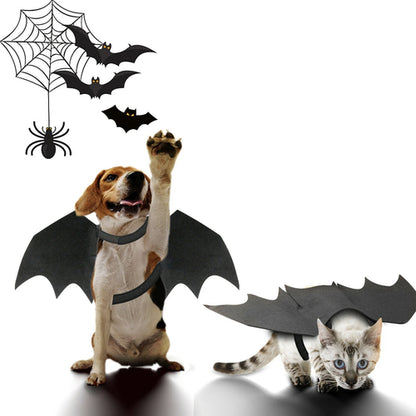 Carenlin™ - Halloween Pet Bat