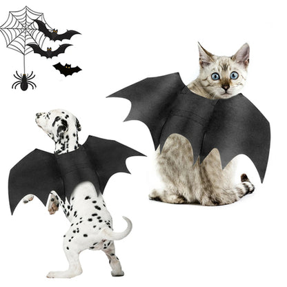 Carenlin™ - Halloween Pet Bat