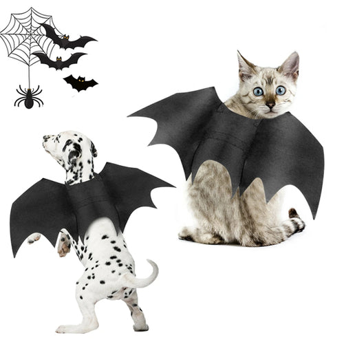 Carenlin™ - Halloween Pet Bat