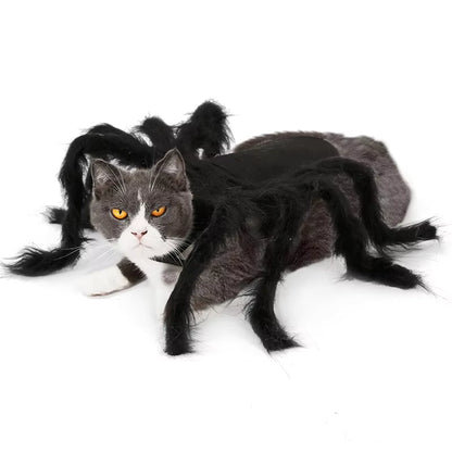 Carenlin™ - Halloween Pet Spider Costume