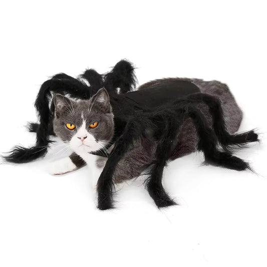 Carenlin™ - Halloween Pet Spider Costume