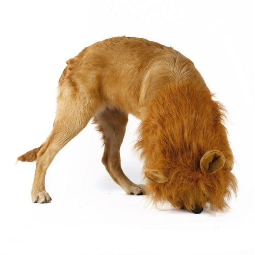 Carenlin™ - Lion Theme Dog Wig
