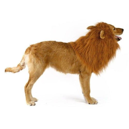 Carenlin™ - Lion Theme Dog Wig