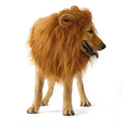 Carenlin™ - Lion Theme Dog Wig
